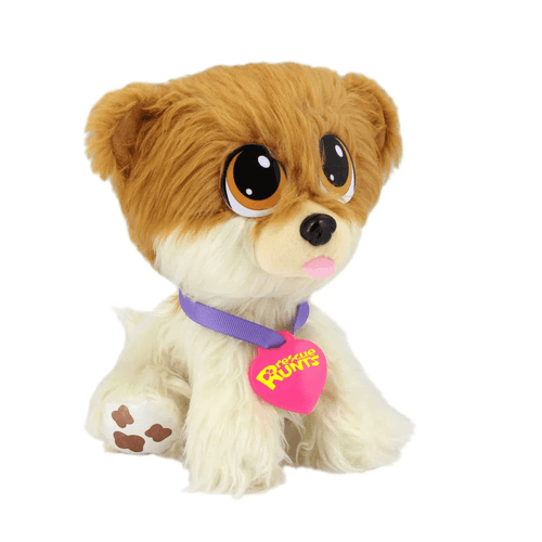 Pelúcia Adota Pets - 19cm - Lulu - Multikids