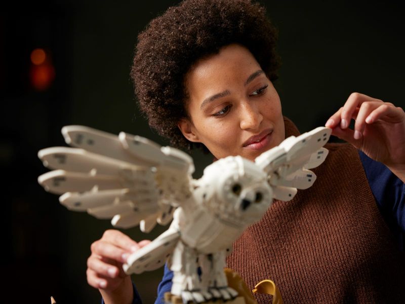 LEGO-Harry-Potter---Icones-de-Hogwarts---Edicao-de-Colecionador---76391--8-