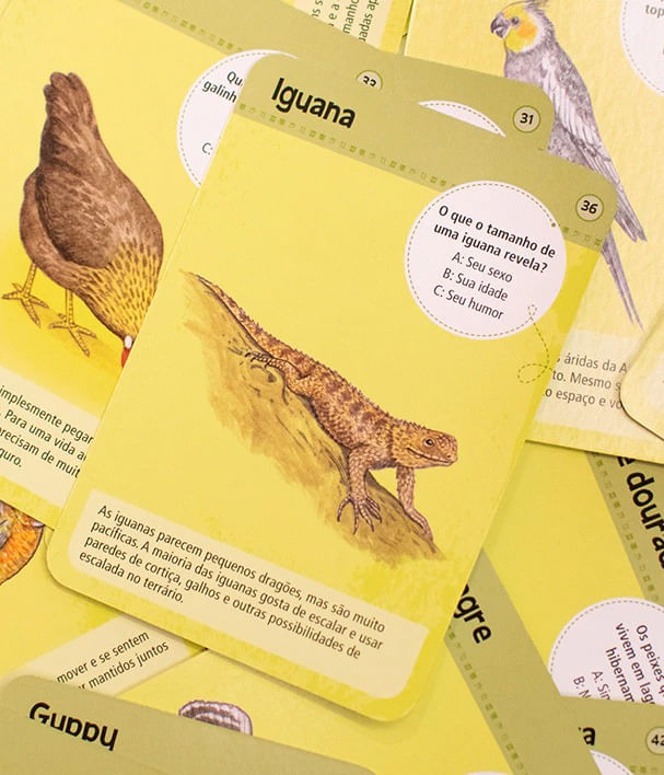 Jogo-de-Cartas---50-Bichos-de-Estimacao-2
