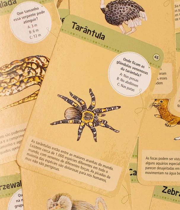 Jogo-de-Cartas---50-Animais-de-Zoologico-2