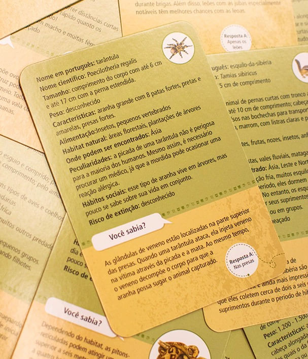 Jogo-de-Cartas---50-Animais-de-Zoologico-3