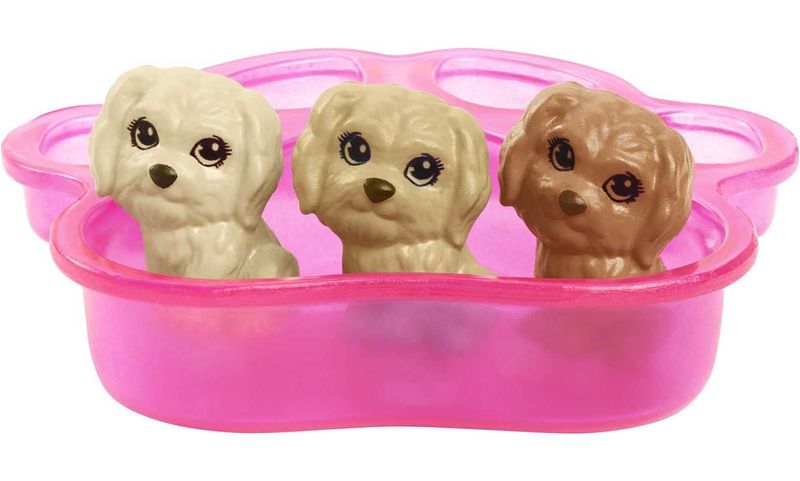 HCK75---Boneca-Barbie-com-Pet---Filhotinhos-Recem-Nascidos---Loira-5