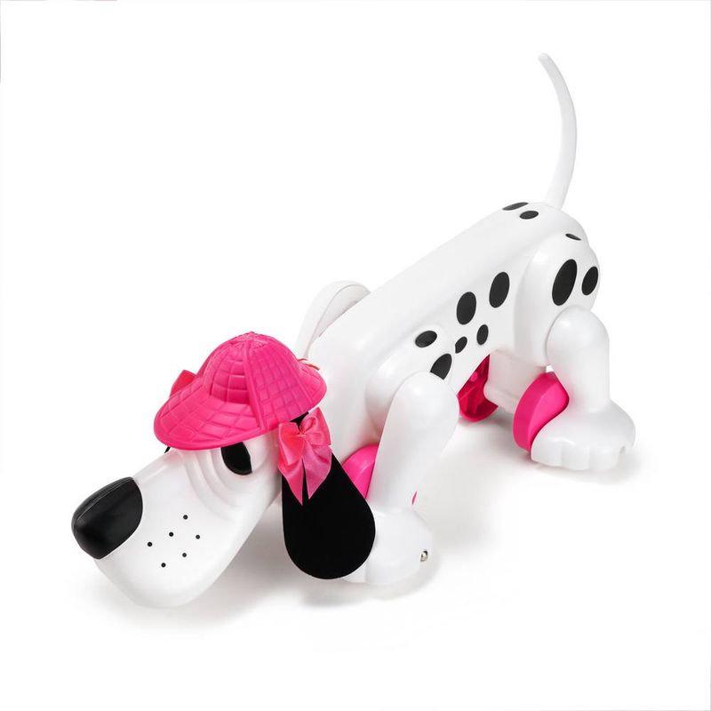 1-Cachorro-para-Passear---Lady-Star---Estrela