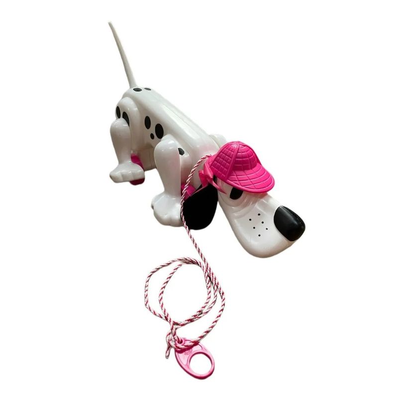 3-Cachorro-para-Passear---Lady-Star---Estrela