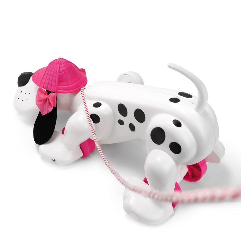 4-Cachorro-para-Passear---Lady-Star---Estrela
