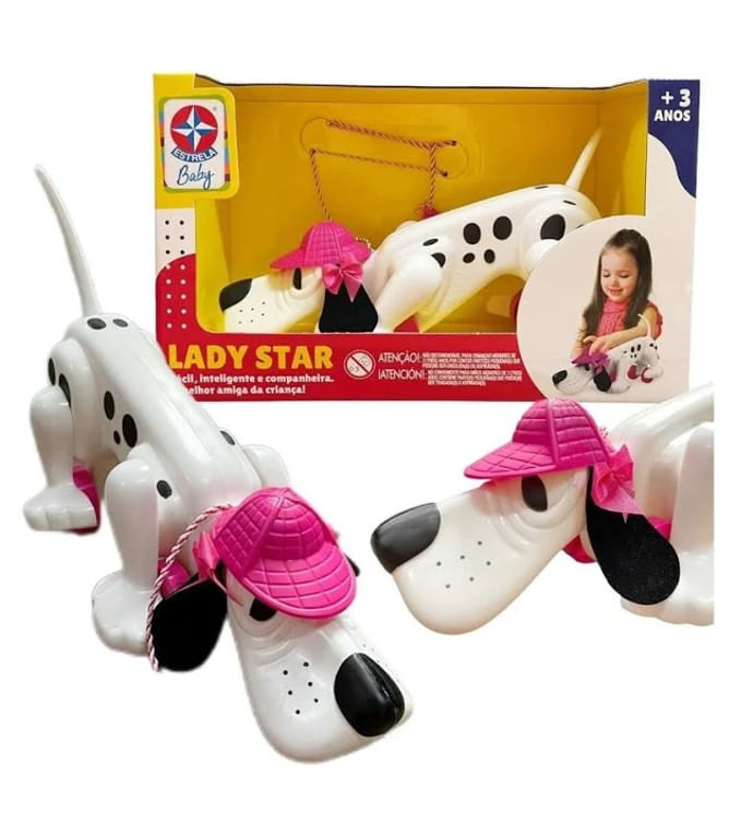 5-Cachorro-para-Passear---Lady-Star---Estrela