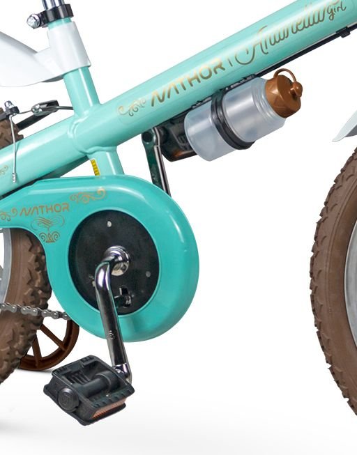 Bicicleta-Infantil-Aro-16---Mini-Antonella---Verde---Nathor-4