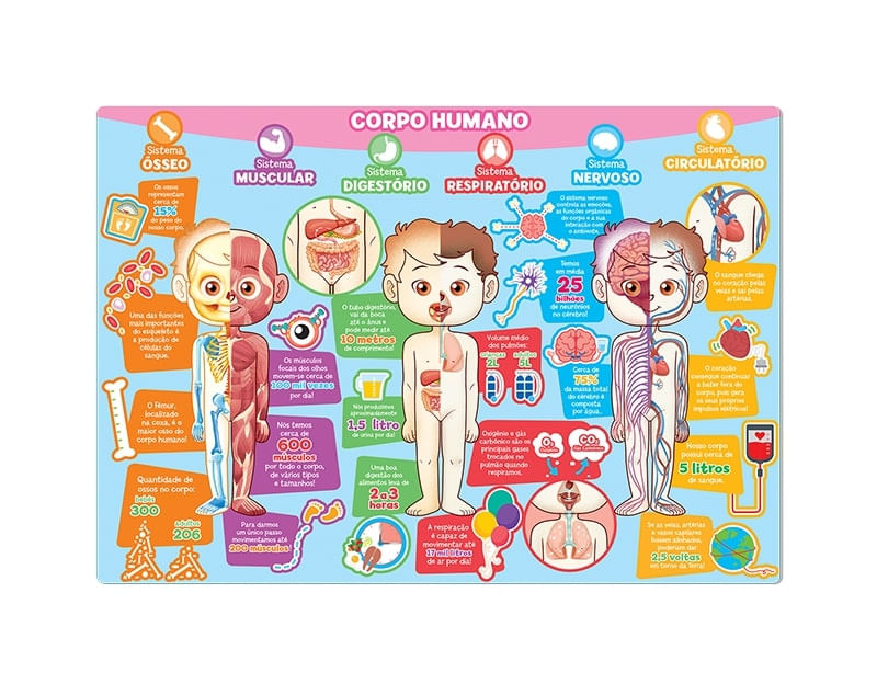 Quebra-Cabeca-Educativo---Explorando-o-Corpo-Humano---120-Pecas---Toyster--2