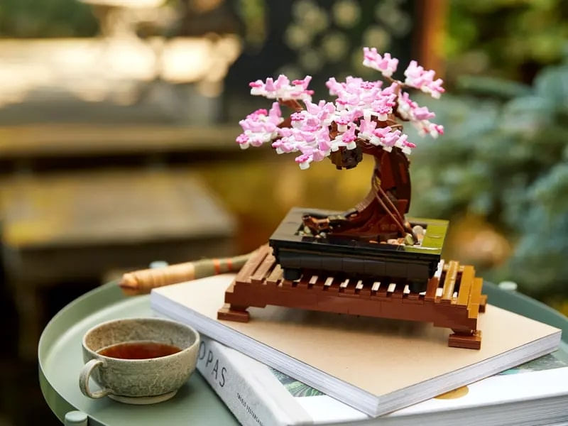 LEGO-Creator-Expert---Arvore-Bonsai---878-Pecas---10281-12
