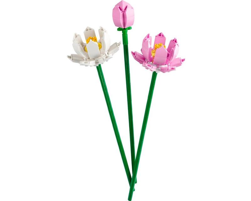 LEG40647---LEGO-Icons---Flores-de-Lotus---Botanical-Collection---220-Pecas---40647-2