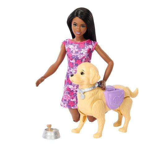 Boneca Barbie com Acessórios - Passeio com Cachorrinho - Brooklyn - Mattel