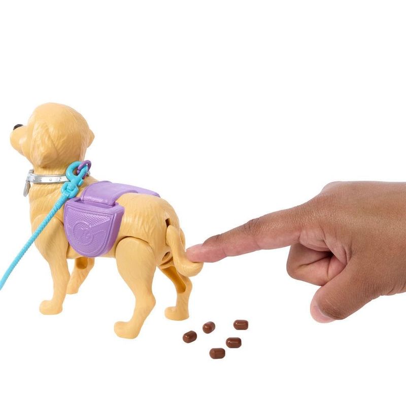 MATHWT53---Boneca-Barbie-com-Acessorios---Passeio-com-Cachorrinho---Brooklyn---Mattel-4