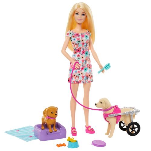 Boneca Barbie com Acessórios - Passeio de Animais com Cadeira de Rodas - Mattel