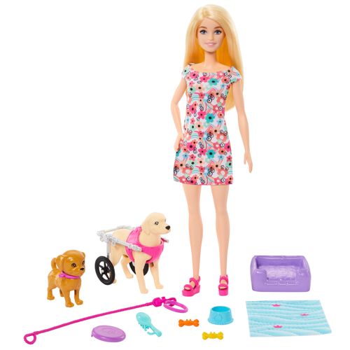 Boneca Barbie com Acessórios - Passeio de Animais com Cadeira de Rodas - Mattel