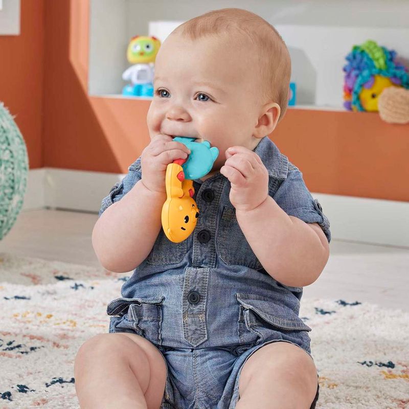 MATHJW11---Brinquedo-Interativo---Chocalho-Sensimals---Sortido---Fisher-Price-7