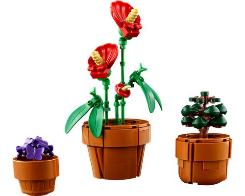 LEGO Icons - Plantinhas - Botanical Collection - 758 Peças - 10329