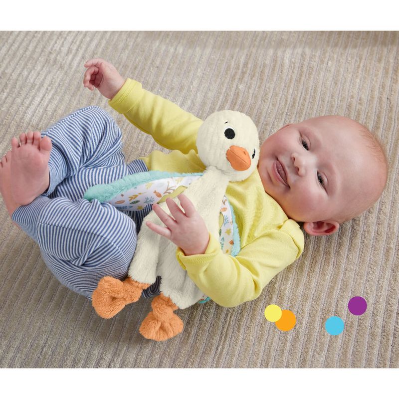 MATHYD10 - Pelucia com Chocalho - Ganso Amoroso - Fisher-Price 3.jpg