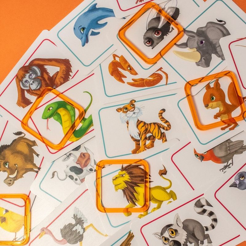 ILHCPT101 - Jogo de Tabuleiro - Concept Kids Animals - Galapagos 5.jpg