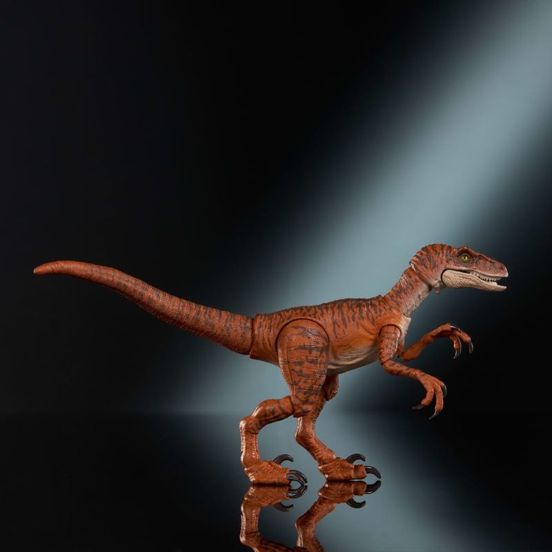 MATHFG54-JDJ09---Dinossauro-Articulado---Velociraptor---Hammond-Collection---Jurassic-World---09-cm---5